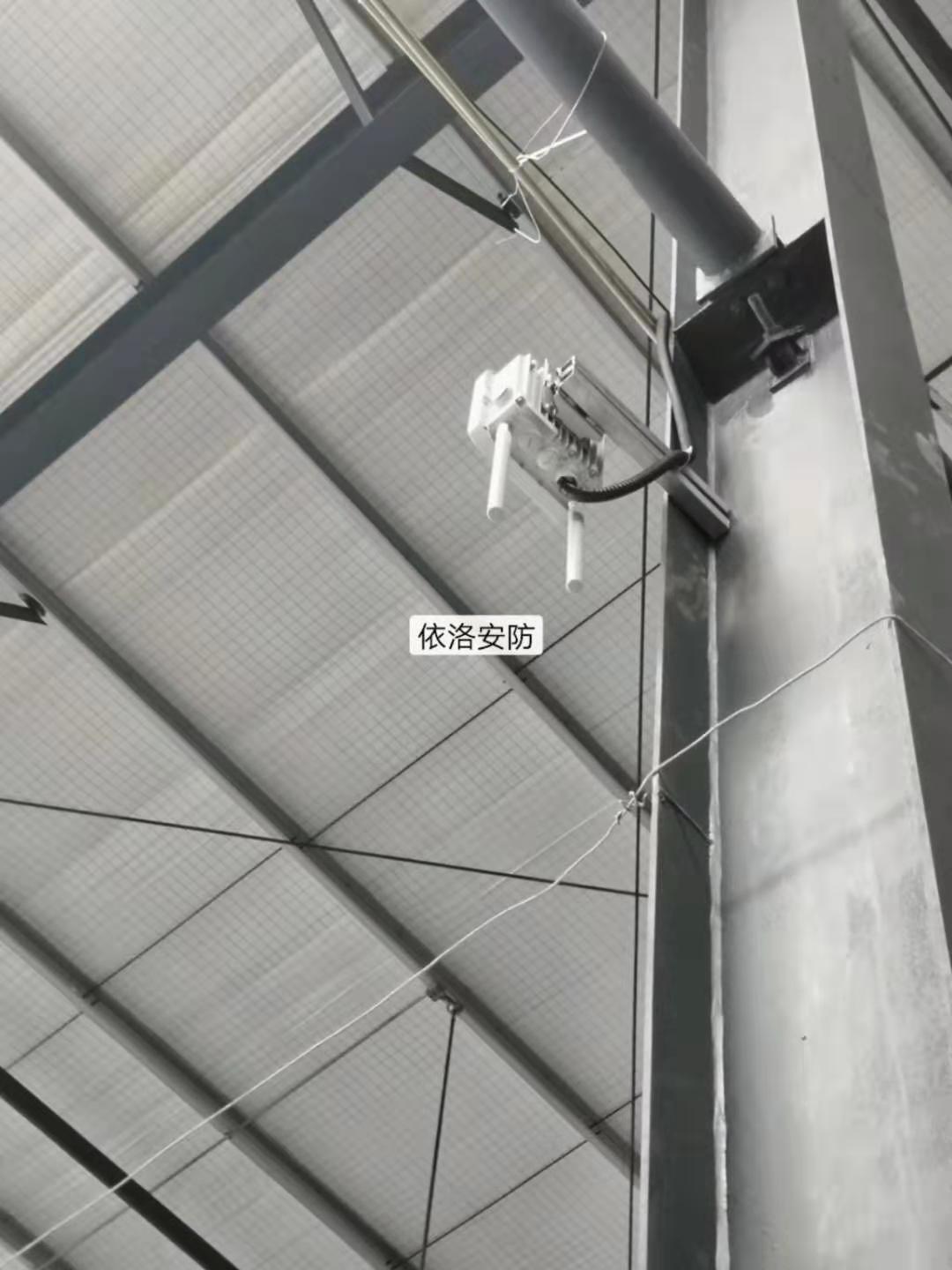 &#66;&#20307;&#32946;